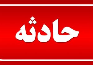 آتش‌سوزی چند درخت در حوالی ورزشگاه انقلاب/ بی‌احتیاطی کارگران ساختمانی سبب آتش سوزی شد